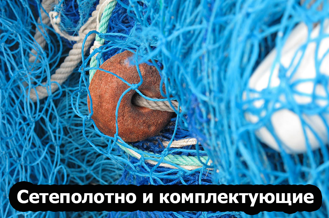 image-banner