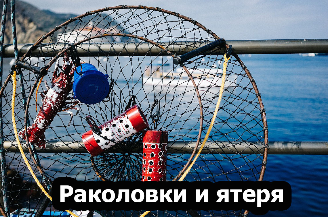 image-banner