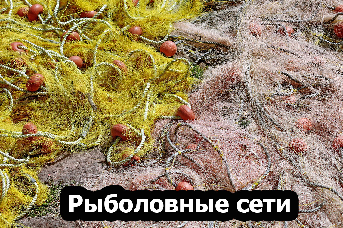 image-banner